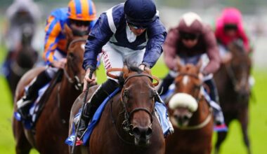 Celandine thriving ahead of Summer Stakes tilt