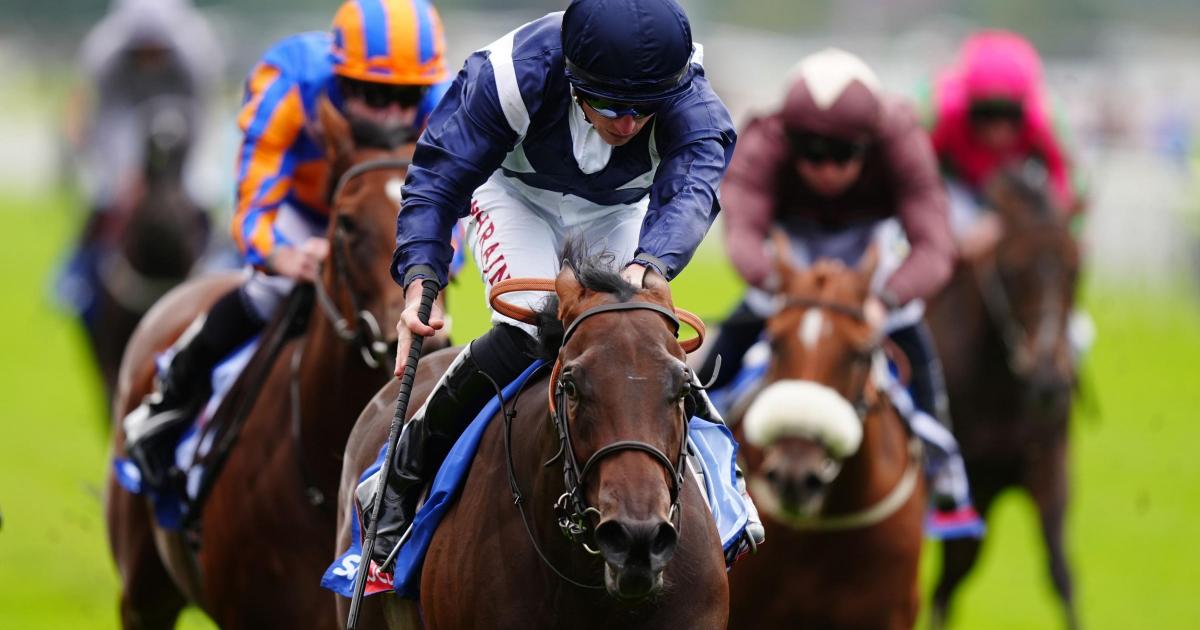 Celandine thriving ahead of Summer Stakes tilt