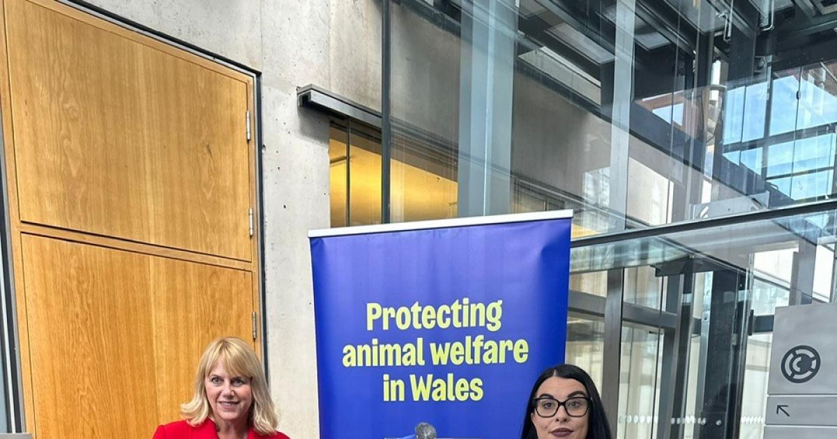 Wales is officially most animal-loving country in the UK
