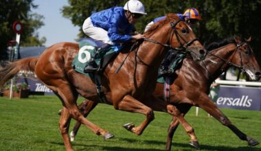 Big-money buy Distant Storm delivers on debut at Newmarket