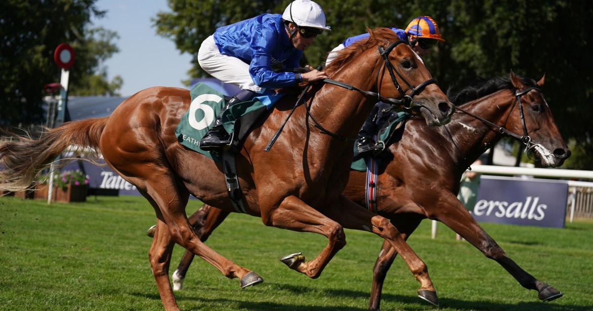 Big-money buy Distant Storm delivers on debut at Newmarket