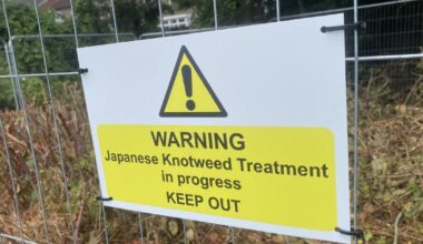 Work starts to banish invasive species from meadow near Norwich