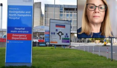 Sue Harriman appointed chief executive of Hampshire hospitals
