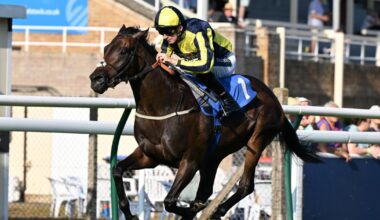 Salisbury Racecourse held Ladies' Evening in the sun