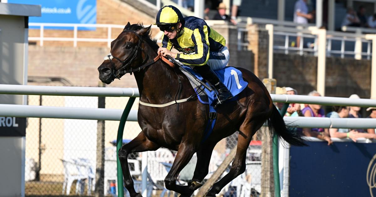Salisbury Racecourse held Ladies' Evening in the sun