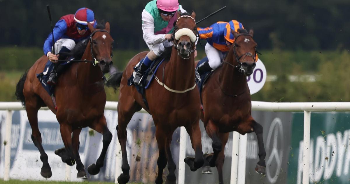 All eyes on Purview in Leopardstown’s Meld Stakes
