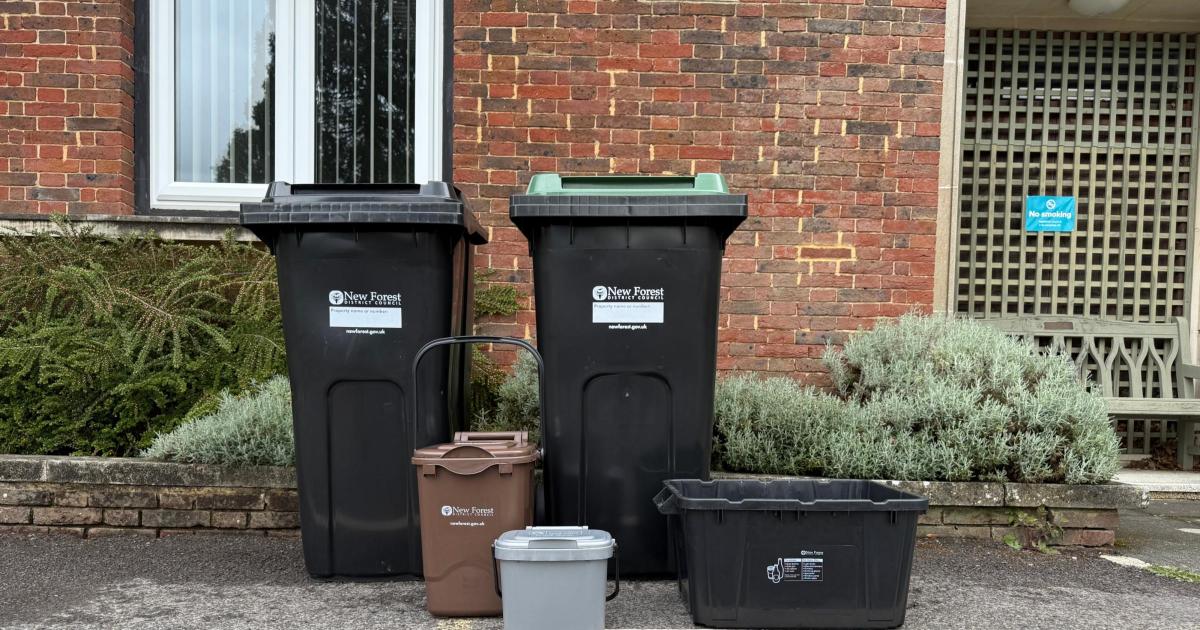 New Forest residents to receive new wheelie bin service