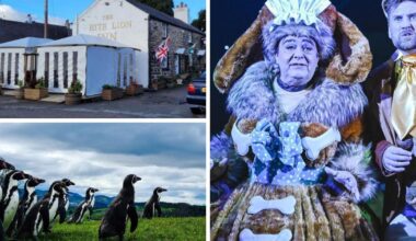 The North Wales businesses up for Welsh Hospitality Awards