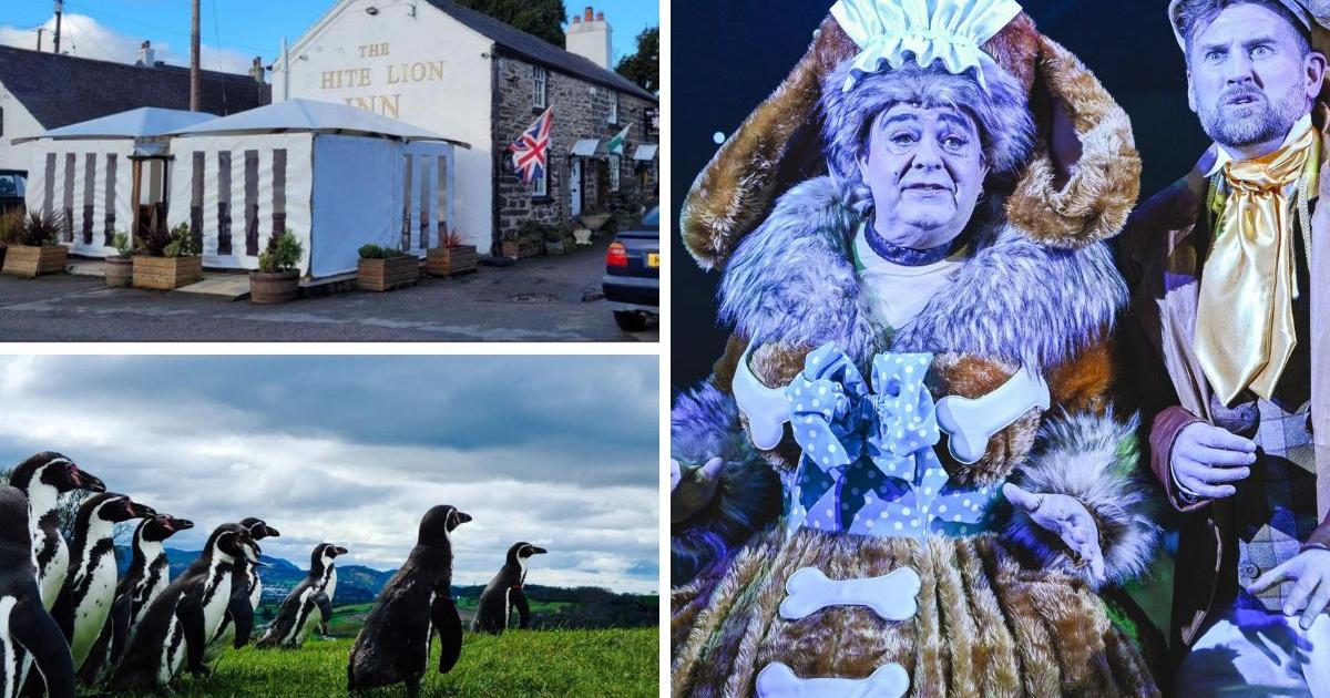 The North Wales businesses up for Welsh Hospitality Awards