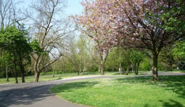 Sixteen Sandwell parks and green spaces awarded Green Flag