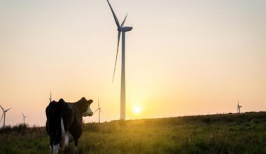New £800 million fund launched to support projects in Wales