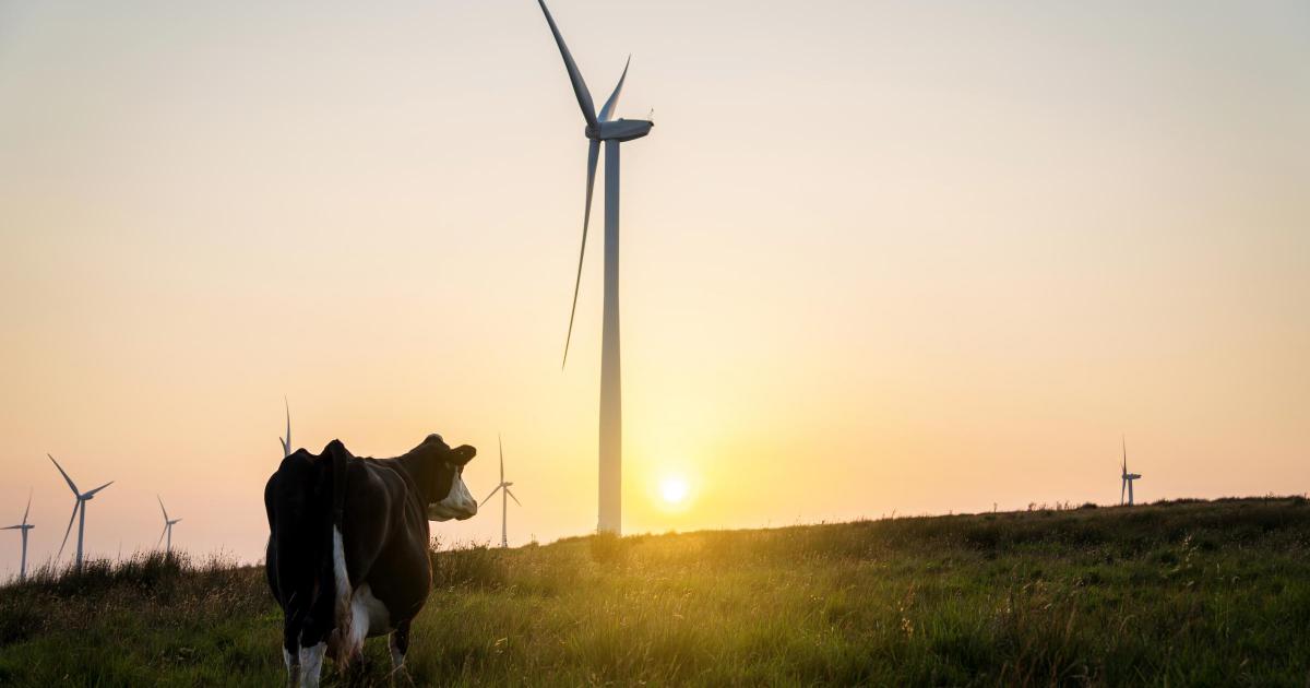 New £800 million fund launched to support projects in Wales