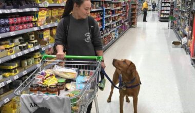 Support Dogs celebrates triumph of Ellesmere Port woman