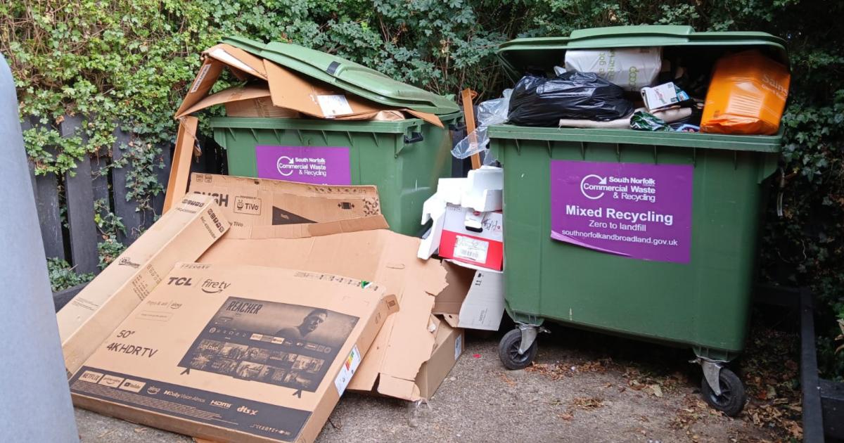 South Norfolk Council removes recycling bins in Loddon