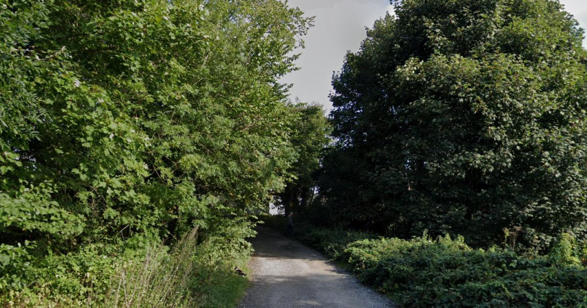 Birkenshaw: Councillors to decide on plans for 21 homes