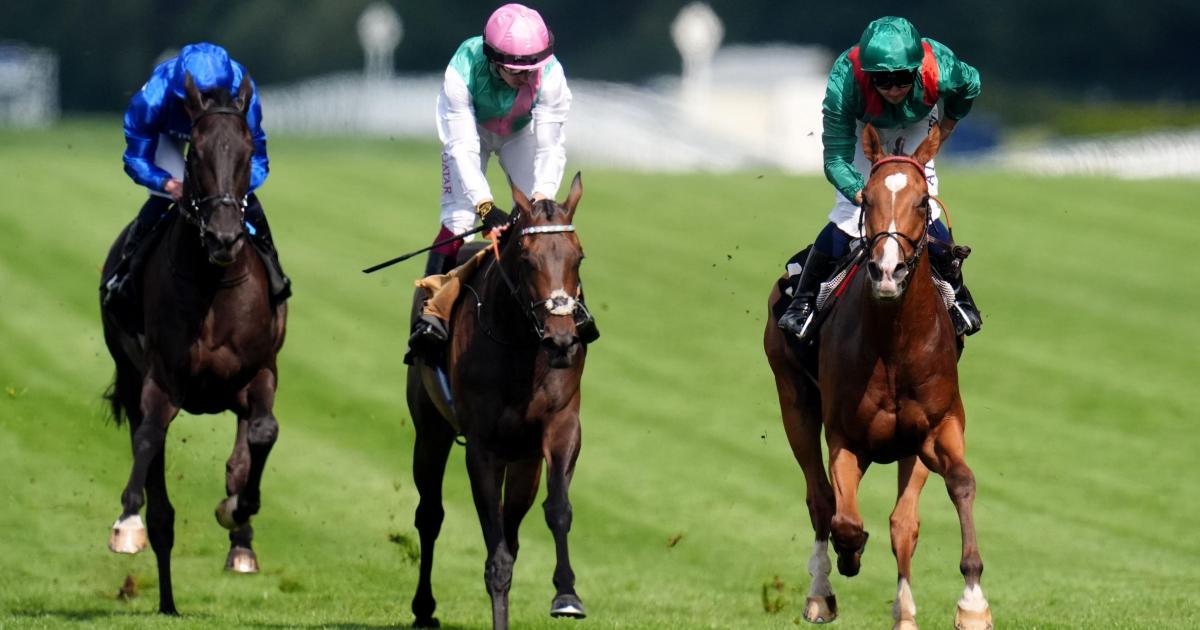 Calandagan rules supreme for France in King George