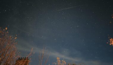 How to see Delta Aquariid meteor shower in UK this week