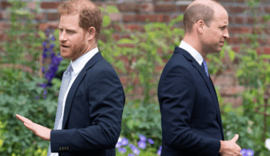 Prince Harry Will Be 'Erased' From Monarchy Once Prince William Becomes King, Says 'Source'