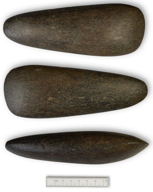 A picture of the axe found in excavation