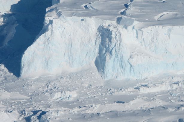 Scientists have warned that Thwaites Glacier in Antarctica is at risk of collapsing