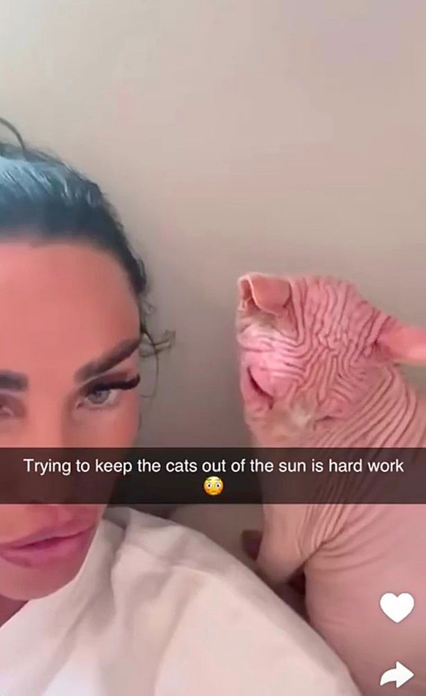 Katie Price