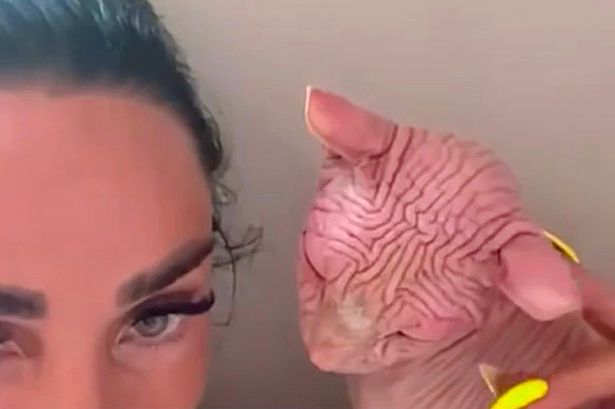 Katie Price