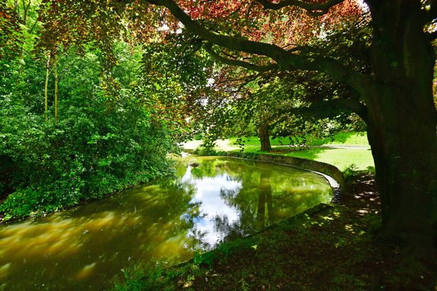 Summer light in Princes Park, Toxteth. Photo by Colin Lane