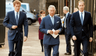 Prince Harry To Prioritize King Charles Over Prince William on London Visit, 'Source' Claims