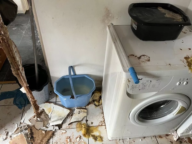 Mess caused by flooding in Lochdochart Road flat.
