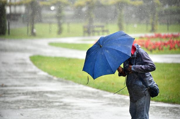 A person holding a blue umbrella