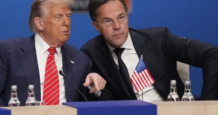 Trump to meet NATO secretary general as plan takes shape for Ukraine weapons sales - National