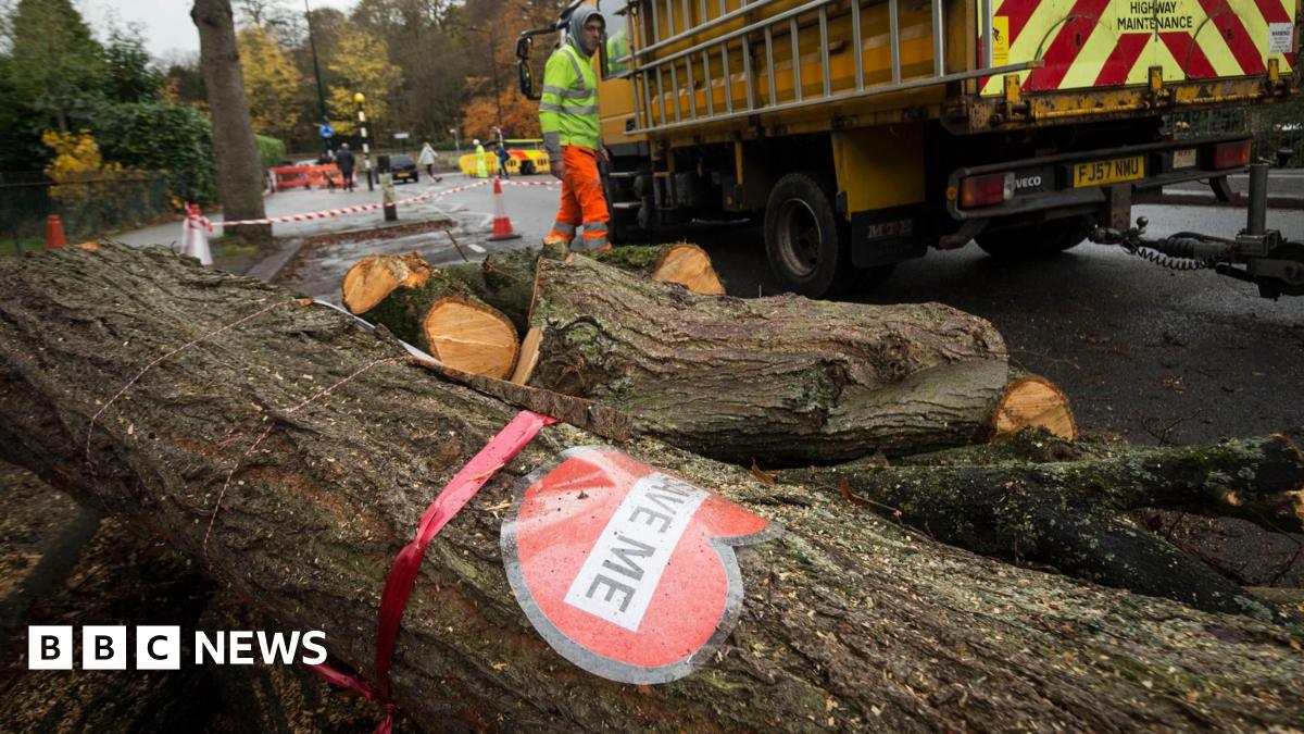 A felled tree with a red ribbon tied around its trunk. A laminated red heart shape is also attached to the tree and reads 'SAVE ME'.