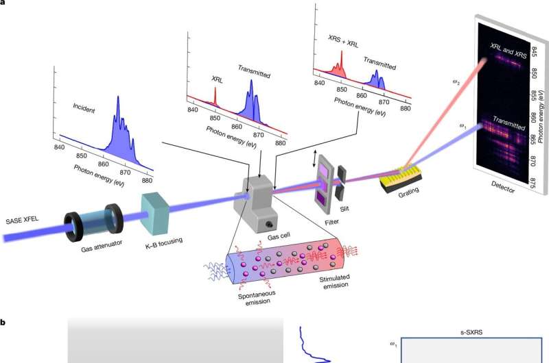 2014 Nobel Prize idea used to reach super-resolution