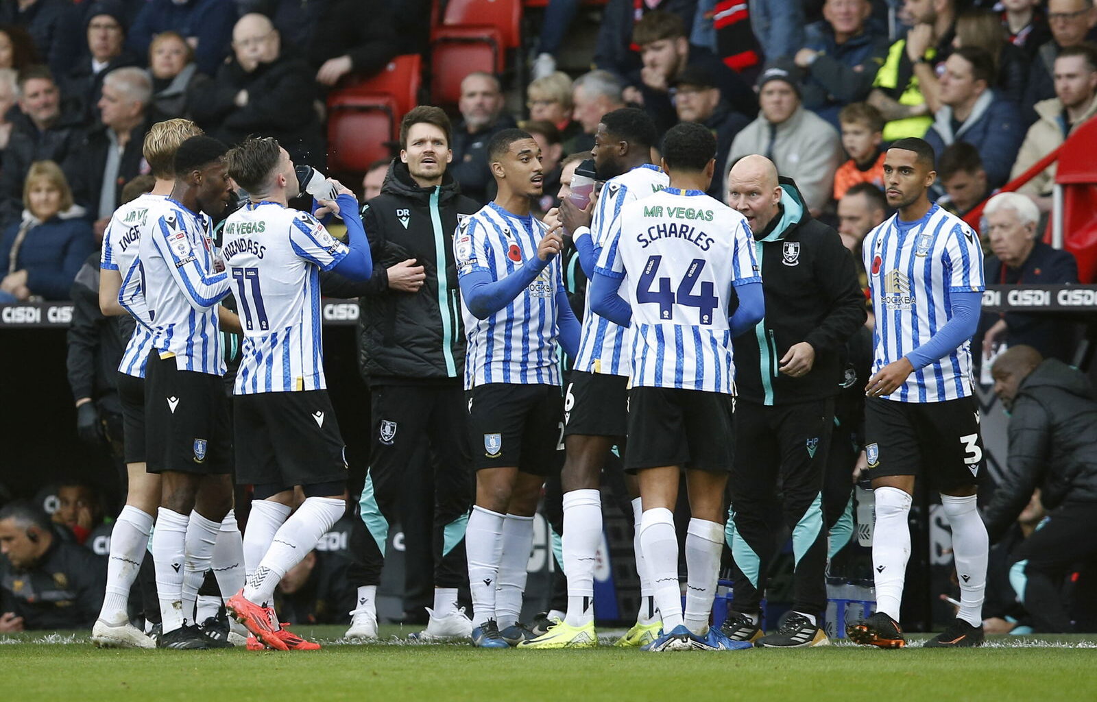 Sheffield Wednesday eye ex-Wolves talent Matthew Whittingham