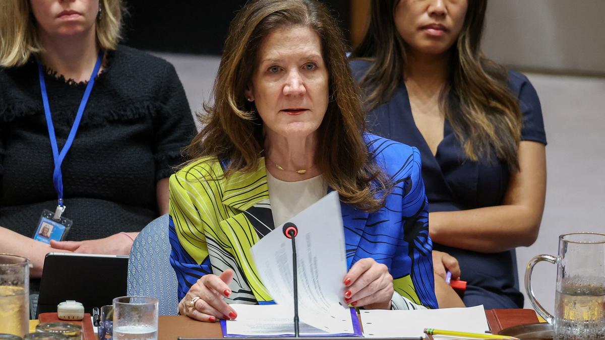 U.S. leadership delivered Indo-Pak de-escalation: American diplomat at UNSC meeting