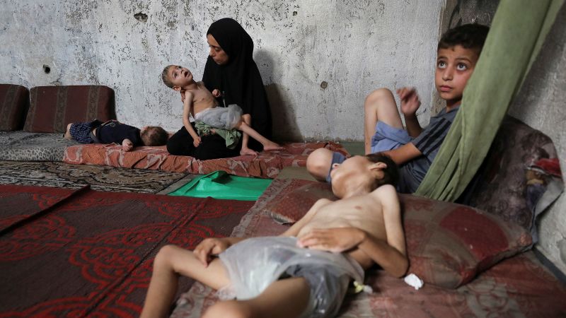 Live updates: Israel-Gaza news; US envoy Witkoff visits Israel