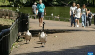 Heatwave continues in London-Xinhua