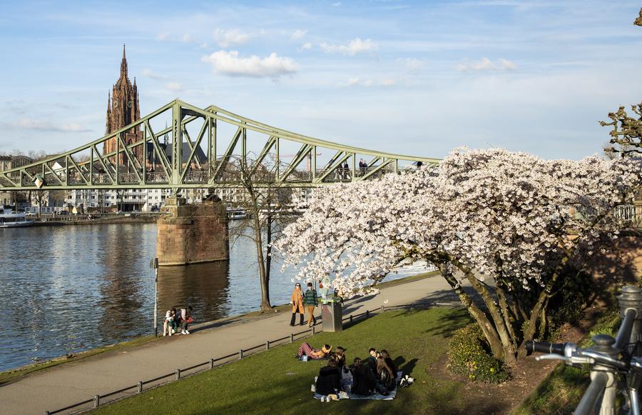 Germany unveils 2026 budget draft with record investment plans-Xinhua