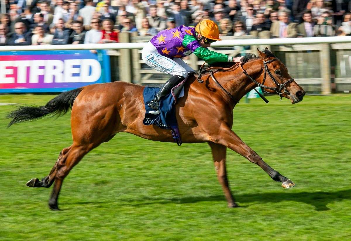 Michael Bell confident Spicy Marg will bounce back from Royal Ascot disappointment in Duchess of Cambridge Stakes