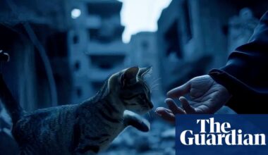 ‘You can make really good stuff – fast’: new AI tools a gamechanger for film-makers | Artificial intelligence (AI)