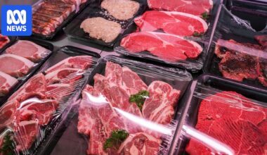What does lifting trade restrictions on US beef mean for Australia?