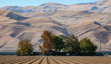 How drought and sea level rise feed on each other