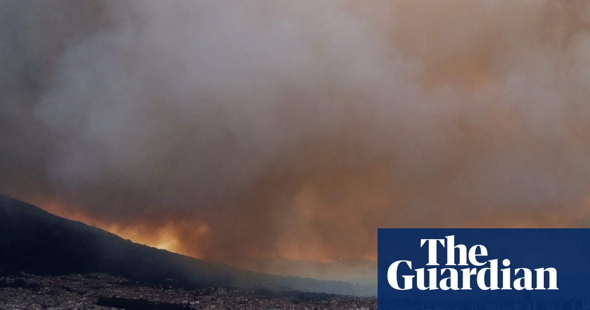Countries must protect human right to a stable climate, court rules | Environment