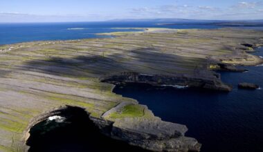 PERRINS: Yes please, pay me to live on an island