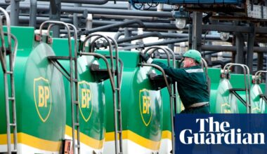 BP appoints new chair to oversee shift back to fossil fuels | BP