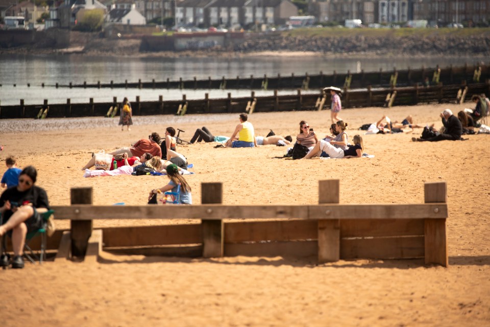 People relaxing on a sunny beach.