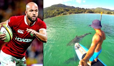 how volcanic island with one rugby club shaped Lion