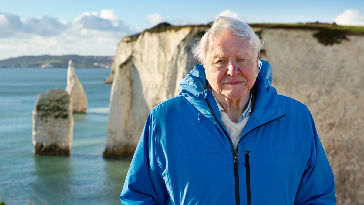 Video of seagrass devastation cut from Attenborough documentary