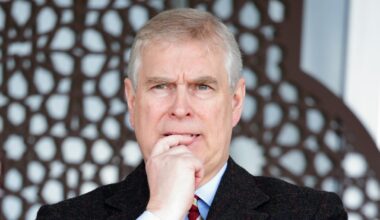 Prince Andrew giving up patronage of charities had no impact