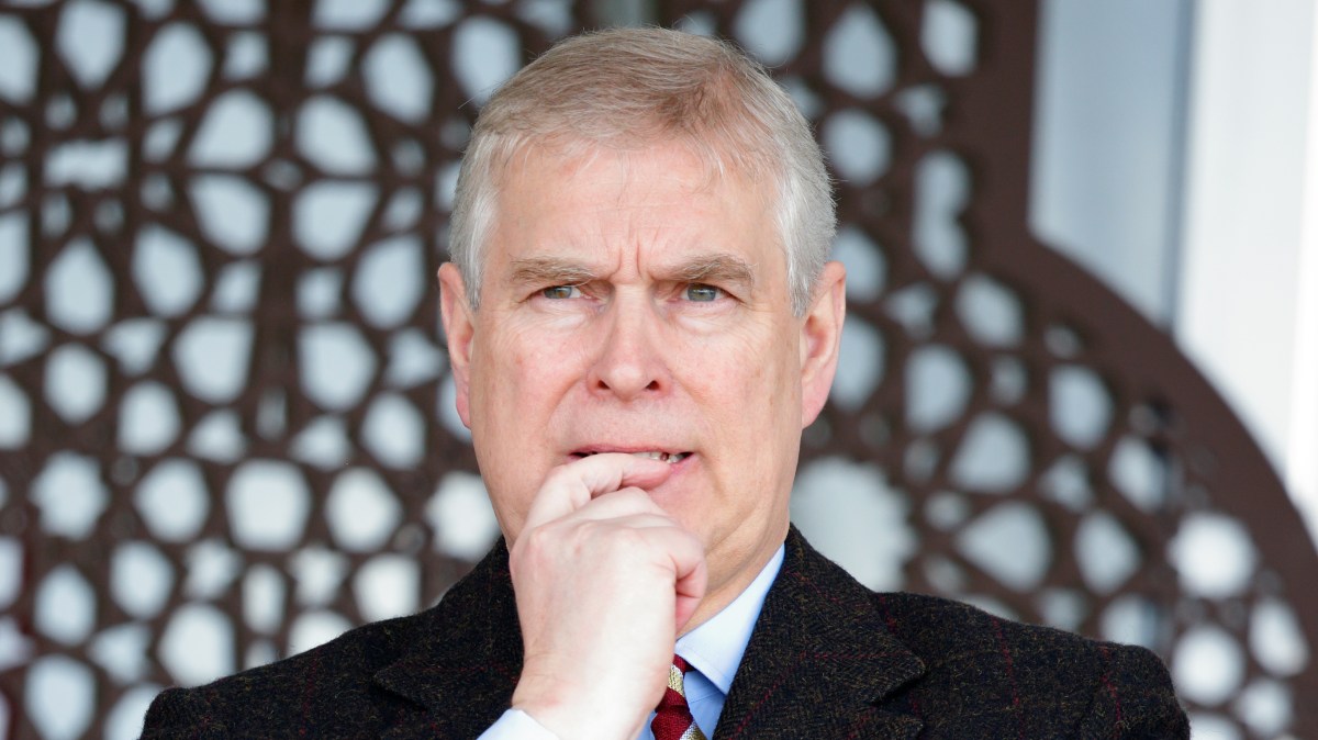 Prince Andrew giving up patronage of charities had no impact